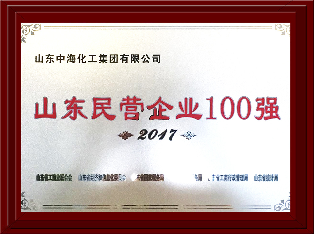 2017年民营企业100强