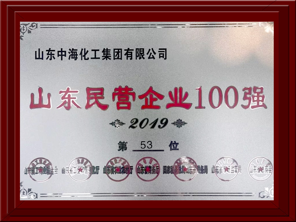 2019山东民营企业100强